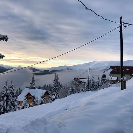 Casa De Vacanta Trei Brazi Ranca Buitenkant foto