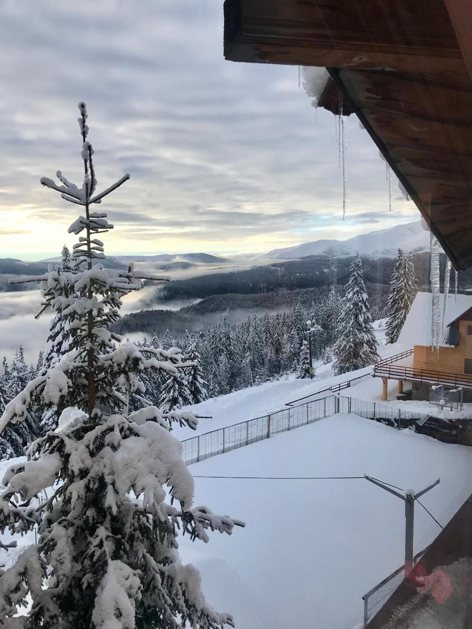 Casa De Vacanta Trei Brazi Ranca Buitenkant foto