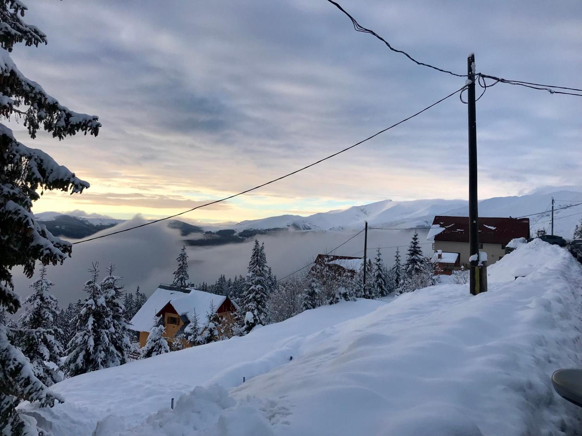 Casa De Vacanta Trei Brazi Ranca Buitenkant foto