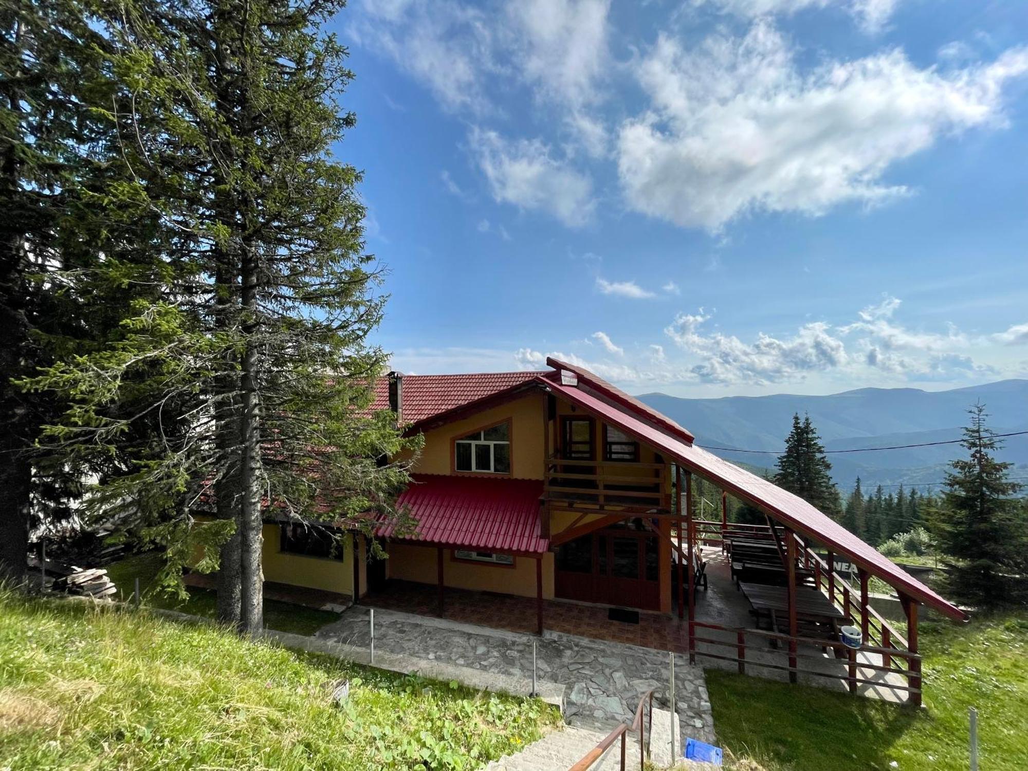 Casa De Vacanta Trei Brazi Ranca Buitenkant foto