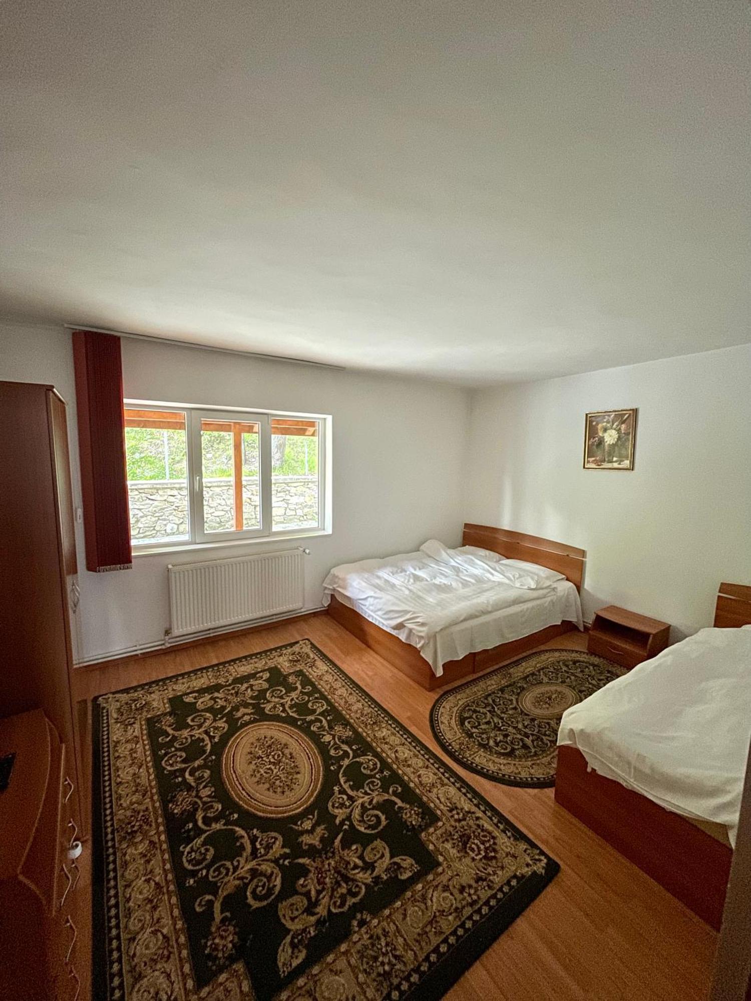 Casa De Vacanta Trei Brazi Ranca Buitenkant foto